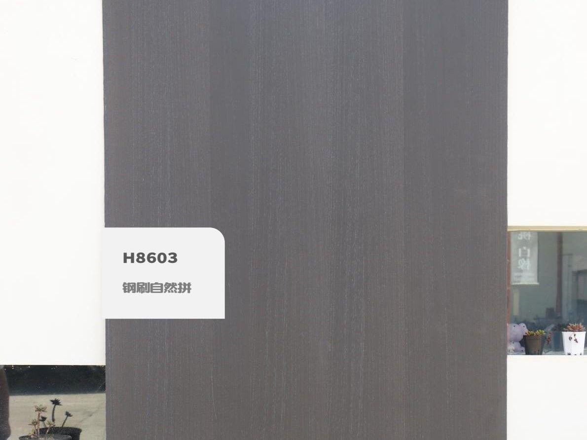 H8603钢刷自然拼