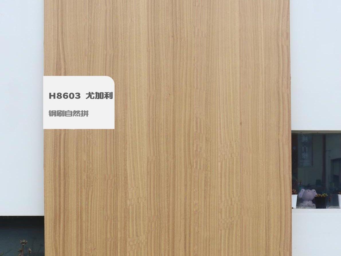 H8603 尤加利钢刷自然拼