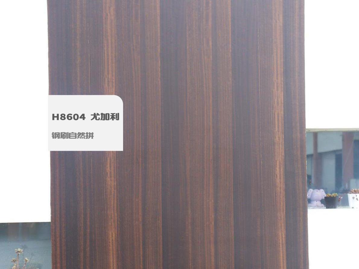H8604 尤加利钢刷自然拼