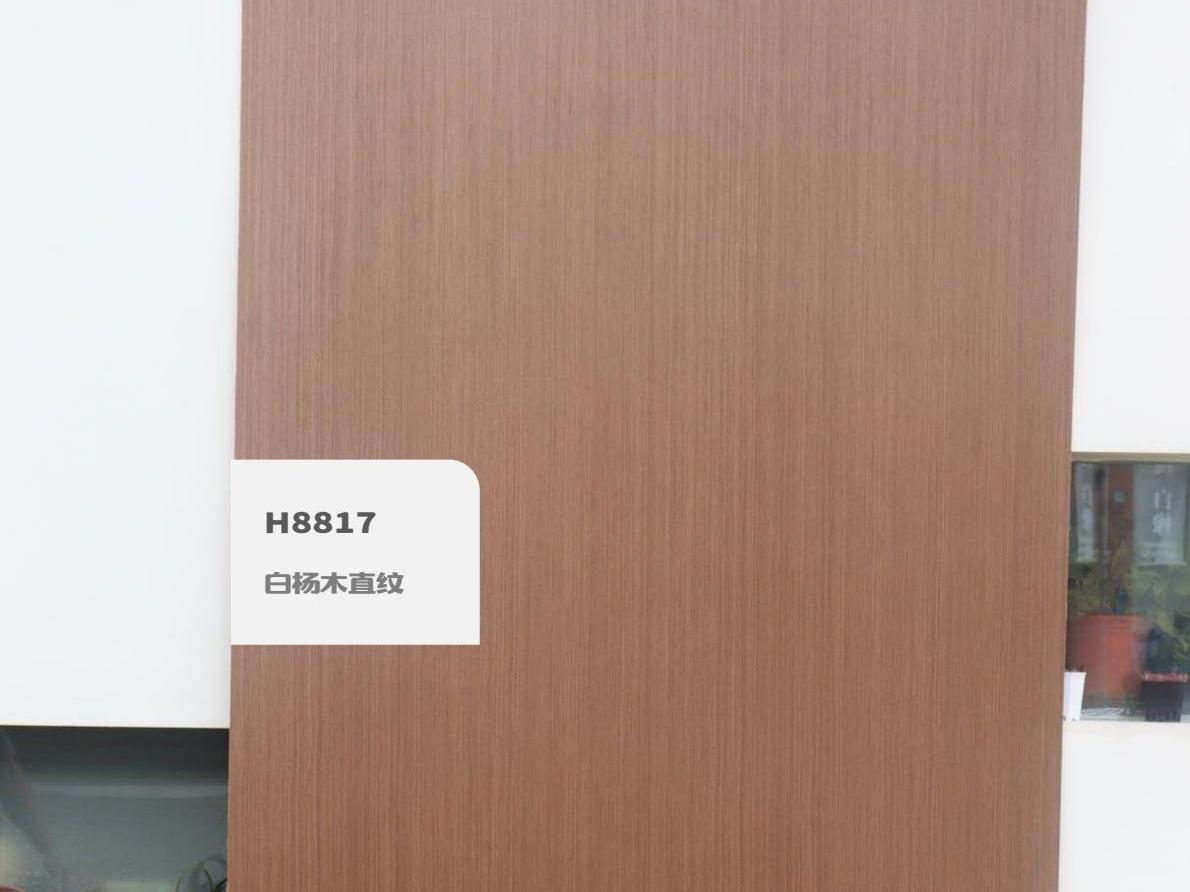 H8817白杨木直纹