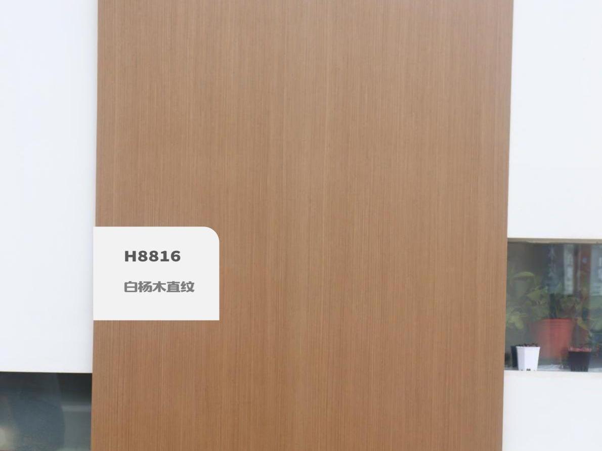 H8816白杨木直纹