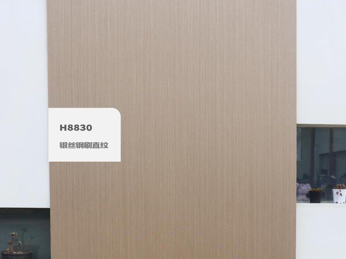H8830银丝钢刷直纹
